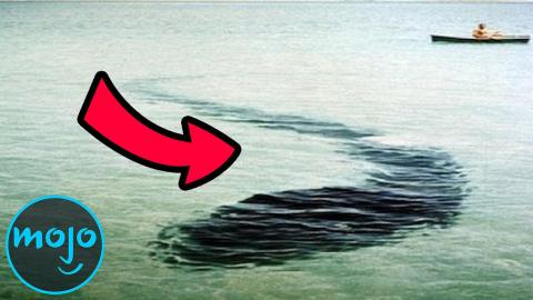 Top 10 Creepiest Sea Monster Sightings of All Time