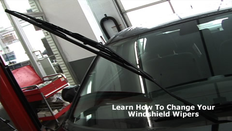 Cartoon Wiper Blades