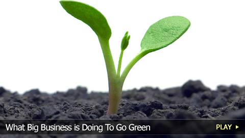Eco Friendly Company