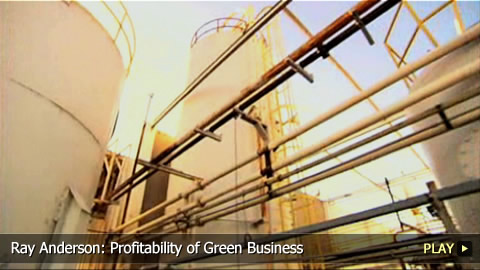 Ray Anderson: Profitability of Green Business