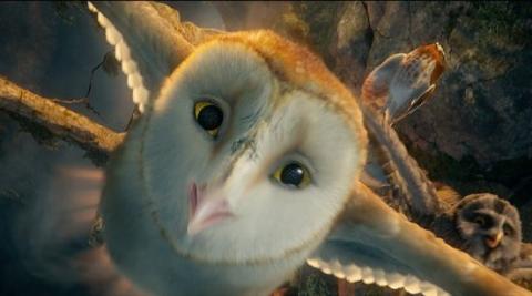 Top 10 Fictional Movie and TV Owls