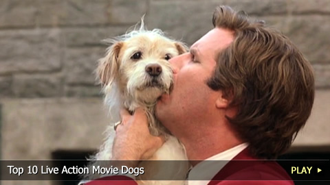 Top 10 Live Action Movie Dogs