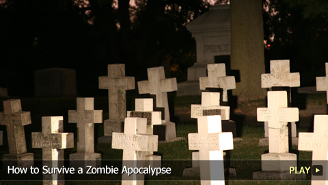 How To Survive A Zombie Apocalypse