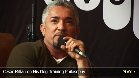 Cesar Millan on His Dog Training Philosophy