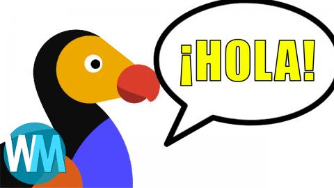 Taking On The Spanish Market: The Dodo Goes Español - size of Hispanic audience? - Mojo Talks
