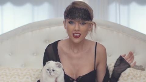 Top 10 Beloved Taylor Swift Music Videos
