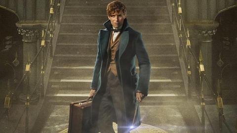 Cinema Fantastic Beasts And Where To Find Them Watch Usa