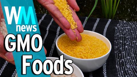 10 Genetically Modified Food Facts - WMNews Ep. 27