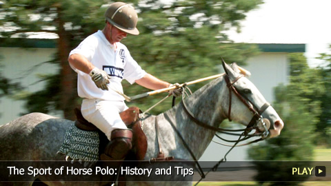 The Sport of Horse Polo: History and Tips