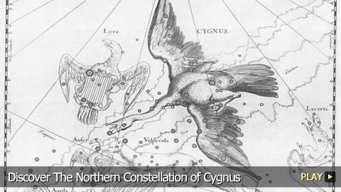 Discover The Northern Constellation of Cygnus