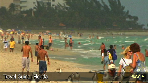 Travel Guide: Florida