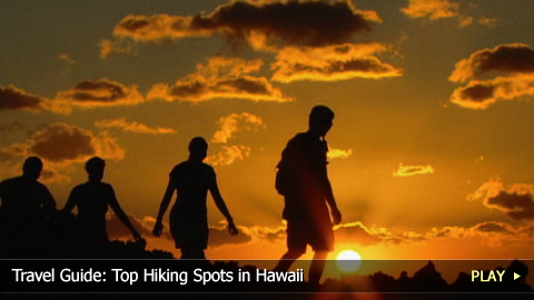 Travel Guide: Top Hiking Spots in Hawaii