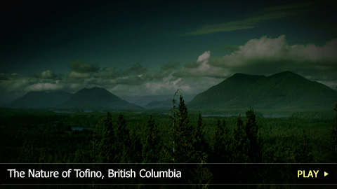 The Nature of Tofino, British Columbia
