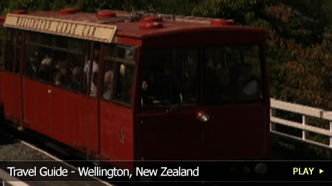 Travel Guide - Wellington, New Zealand