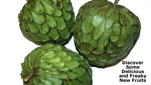 New Fruit