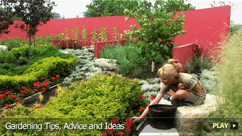 Gardening Tips, Advice and Ideas