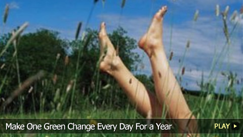 Eco-Challenge: Make One Green Change Every Day For a Year