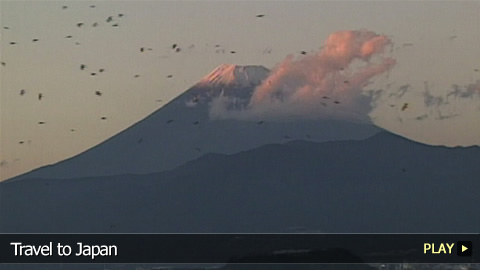 Travel Guide To Japan