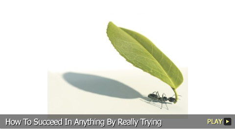 How To Succeed In Anything By Really Trying