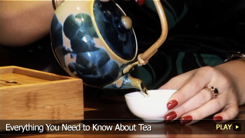 Everything You Need to Know About Tea