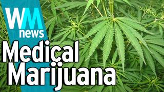 10 Medical Marijuana Industry Facts - WMNews Ep. 24