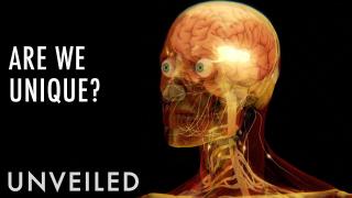 What's So Special About Human Beings? | Unveiled