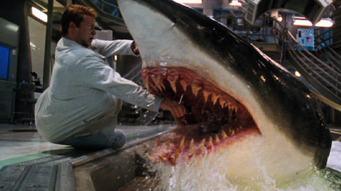  Top 10 Shark Movies