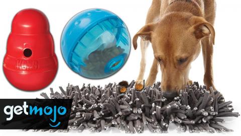 Top 5 Best Toys to Mentally Stimulate Your Dog