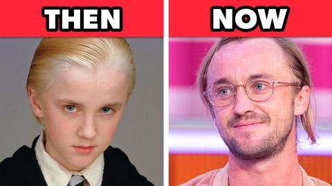 Top 10 Harry Potter Stars: Where Are They Now?