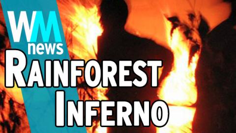 10 Indonesia on Fire Facts - WMNews Ep. 52