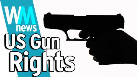 10 USA Gun Rights Debate Facts - WMNews Ep. 33