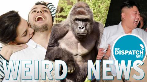 Harambe Spotted, Real Kiss of Death & N. Korea Missile Party: The Dispatch #34