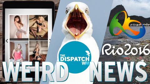 BJ CafÃ©, Stoned Seagulls & The Odorous Olympics: The Dispatch #32