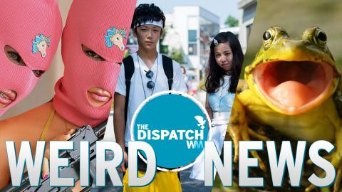 Sex Burglars, Virgin Epidemics & Puking New Ants: The Dispatch #36