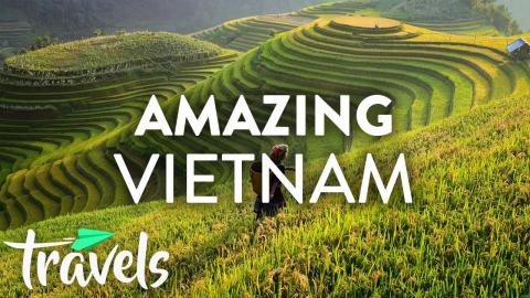 Reasons You Should Travel to Vietnam This Year