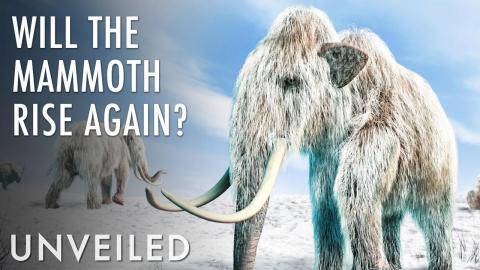 Are Scientists About to Clone a Mammoth? | Unveiled