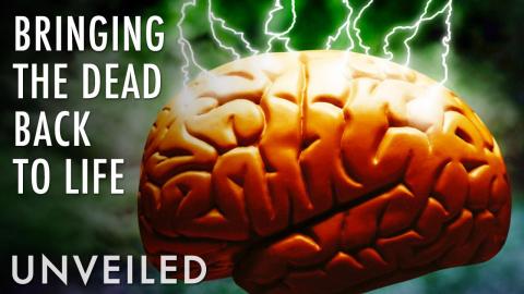 Are We Bringing The Dead Back To Life? | Unveiled