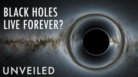 Do Black Holes Die? | Unveiled