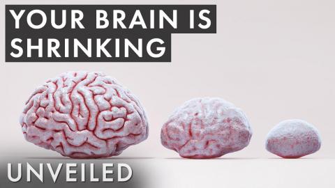 What If Human Brains Were Half the Size?