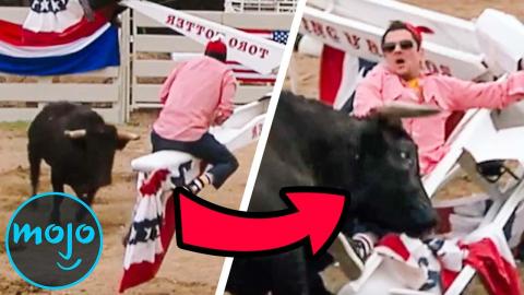 Top 10 Jackass Stunts With An Unpredictable Outcome