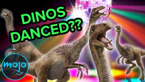 Weirdest Dinosaur Questions Answered!