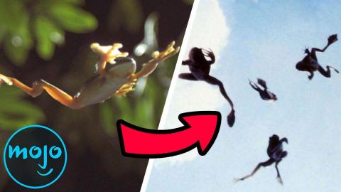Top 10 Craziest Things That Have Fallen From the Sky