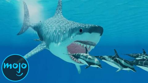 Top 10 Facts About the Megalodon