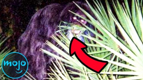 Top 10 Famous Real Life Monsters Caught on Camera
