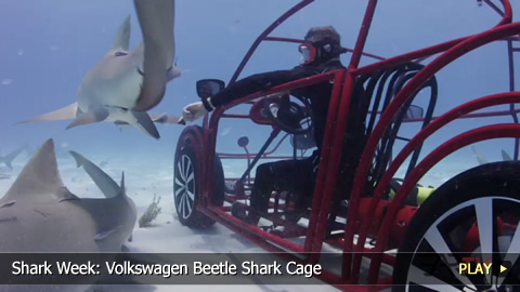 Shark Week: Volkswagen Beetle Shark Cage