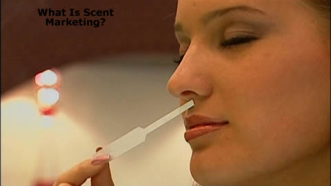 Scent Marketing Tactics