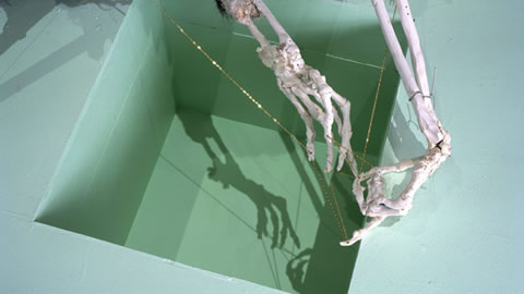 Profile on artist: David Altmejd