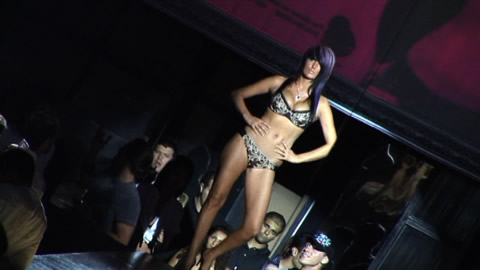 Venus Sexy Lingerie Fashion Show