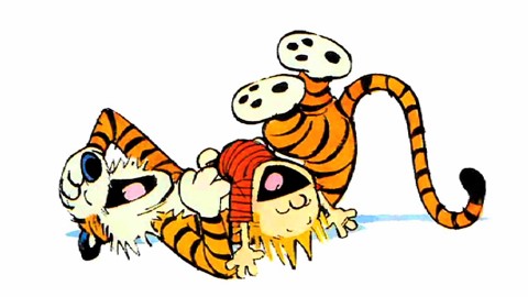 Top 10 moments in the Calvin and Hobbes comic strip