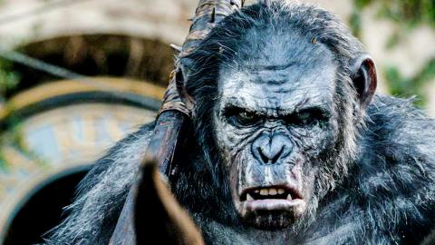 Top 10 Planet of The Apes Reboot Facts
